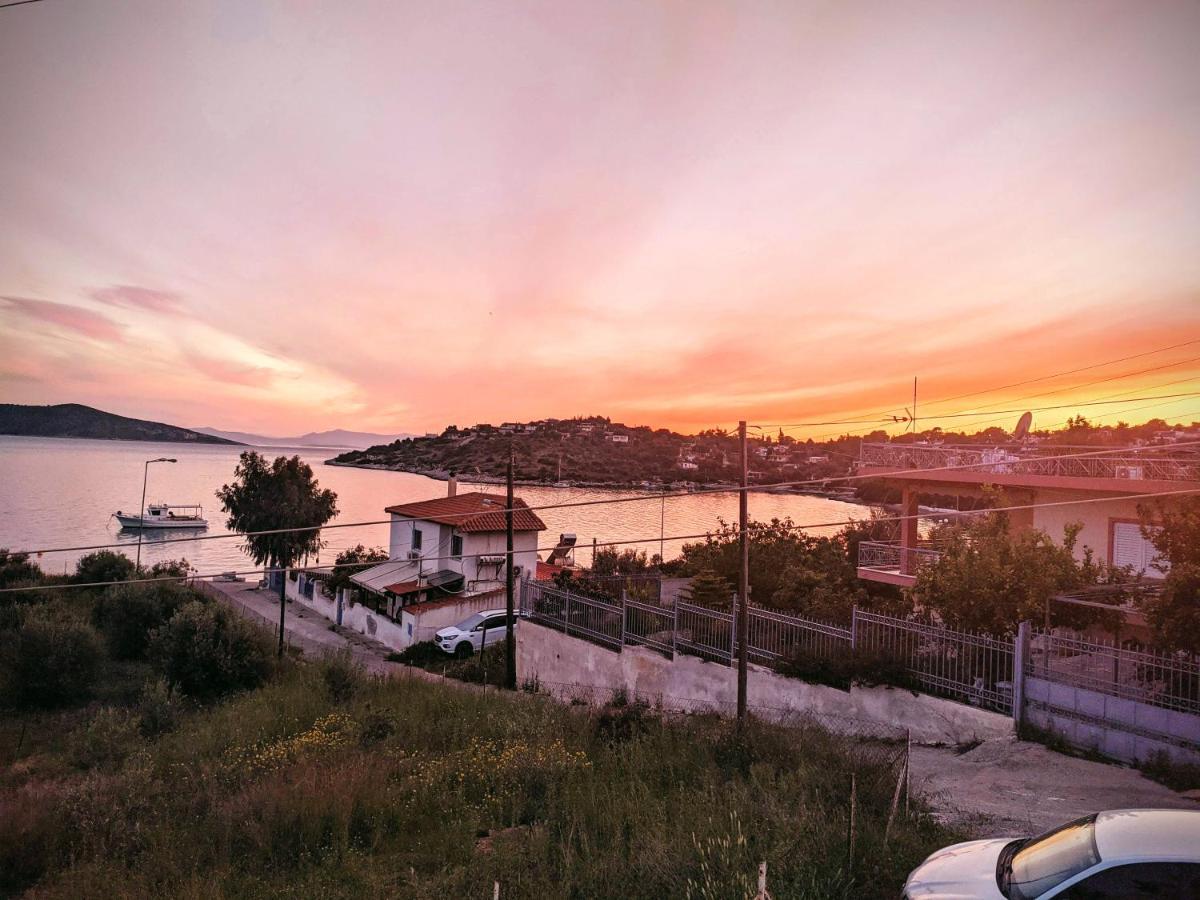 Iliakti Relaxing Seaside Villa ซาลามีส ภายนอก รูปภาพ